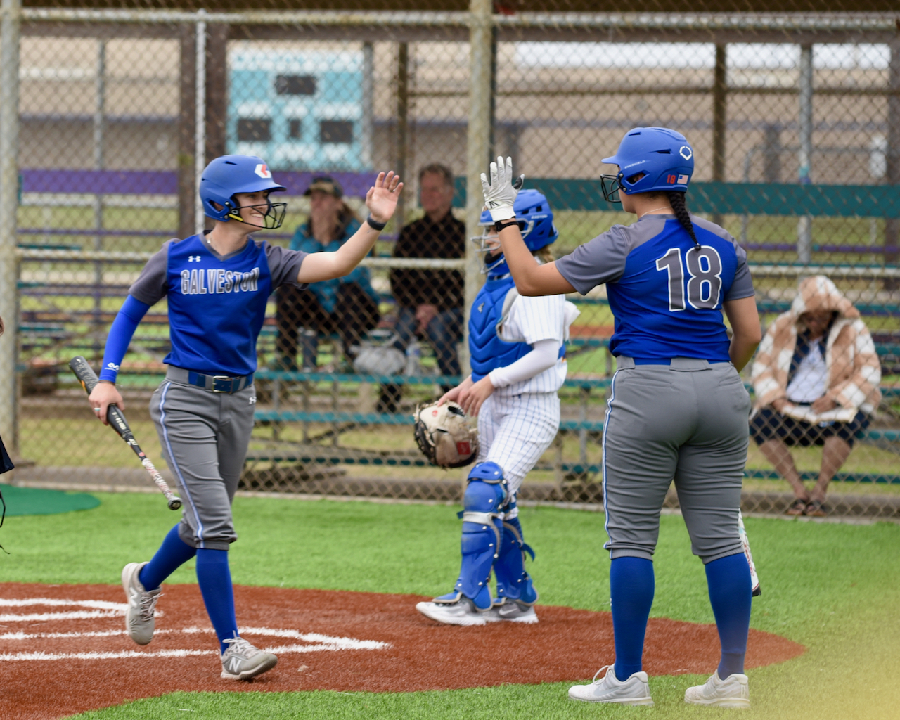 Galveston College sophomore outfielder Galveston College players celebrate scoring against Monroe College on Feb. 15, 2023 at the Lassie League Complex in Galveston. Cottrell high-fives freshman infielder Amaya Foxover after hitting a homerun against Monroe College in the second game of a doubleheader on Feb. 15, 2023 at the Lassie League Complex in Galveston.